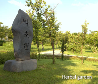 Herbal garden