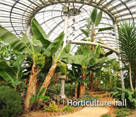 Horticulture hall
