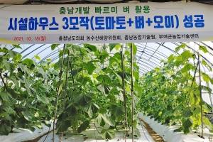 충남 빠르미, ‘벼 3모작 시대’ 열었다 썸네일