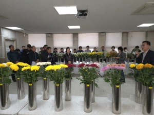충남산 국화 신품종 농가 보급 앞당긴다 썸네일