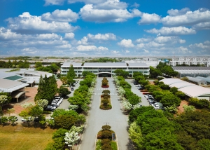 ‘칼슘제 적기 공급’ 신고 배 저장성 높인다 썸네일