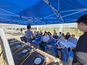 충남 육성 신품종 마늘, 현장 품평회서 호평 썸네일