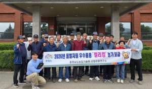 꿀벌 우수품종 ‘젤리킹’ 양봉농가 보급 완료 썸네일