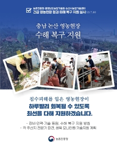 충남 논산 영농현장 수해 복구 지원 썸네일