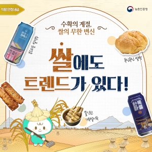 쌀에도 트렌드가 있다 썸네일