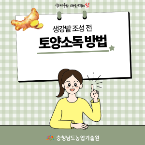 생강밭 조성 전 토양소독 방법 썸네일