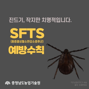 풀숲에 숨은 위험?! SFTS 예방법 알고 가세요! 썸네일