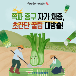 쪽파 종구 자가 채종, 초간단 꿀팁 대방출! 썸네일