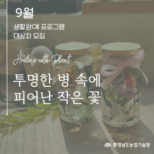 2025년 생활원예 프로그램(9월) 참여자 모집 공고 썸네일