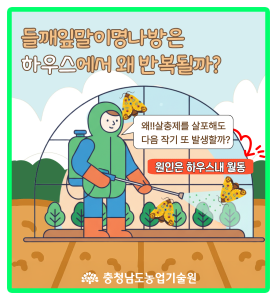 겨울에도 안심할 수 없는 해충?! 썸네일