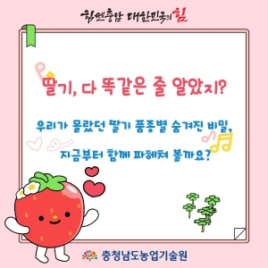 딸기도 품종 보고 골라야 제맛! 썸네일