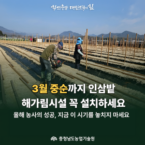 인삼 농가 여러분, 지금 가장 중요한 시기입니다! 썸네일