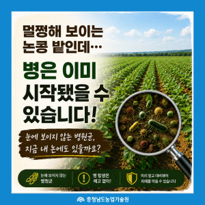 멀쩡해 보이는 논콩밭, 정말 괜찮을까요? 썸네일