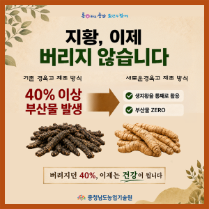 버려지는 지황에도 가치가 있습니다 썸네일