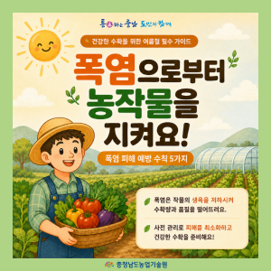연일 이어지는 폭염, 사람뿐만 아니라 농작물도 힘들어합니다. 썸네일